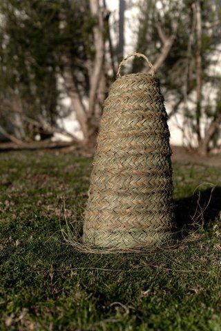 Bell S Lamp