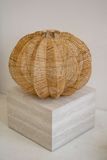 Lotus Lamp
