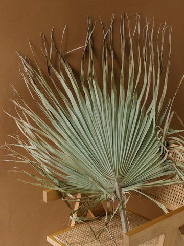 PALM LEAF GREEN