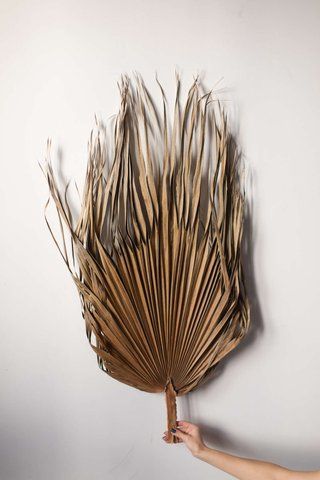 PALM LEAF BROWN