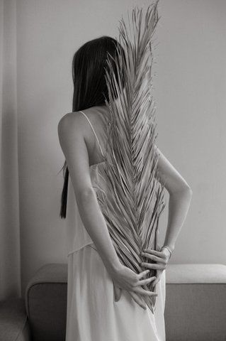 PALM LEAF FIG