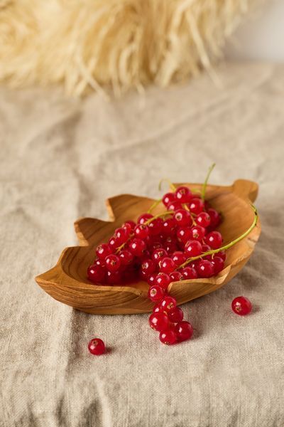 Міні боул Leaf B10KT17 фото